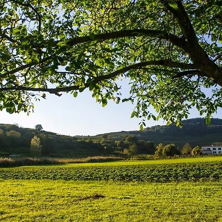 Ferienwohnung Schambachhof *